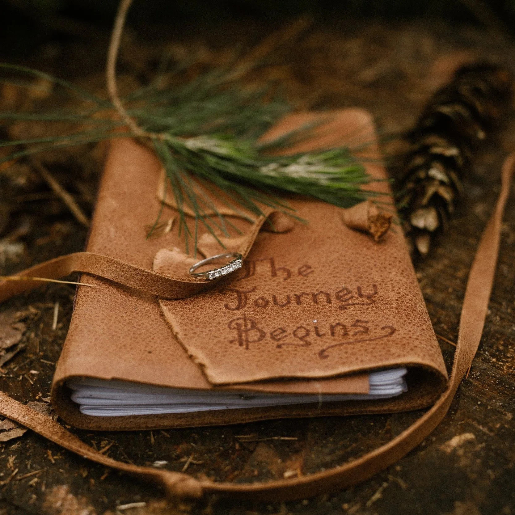 Eine Mappe mit der Aufschrift "The Journey Begins" - los geht deine Reise in der Mastermind-Gruppe mit Aufgaben, die dir helfen, mit dir und deinen Themen in Kontakt zu kommen