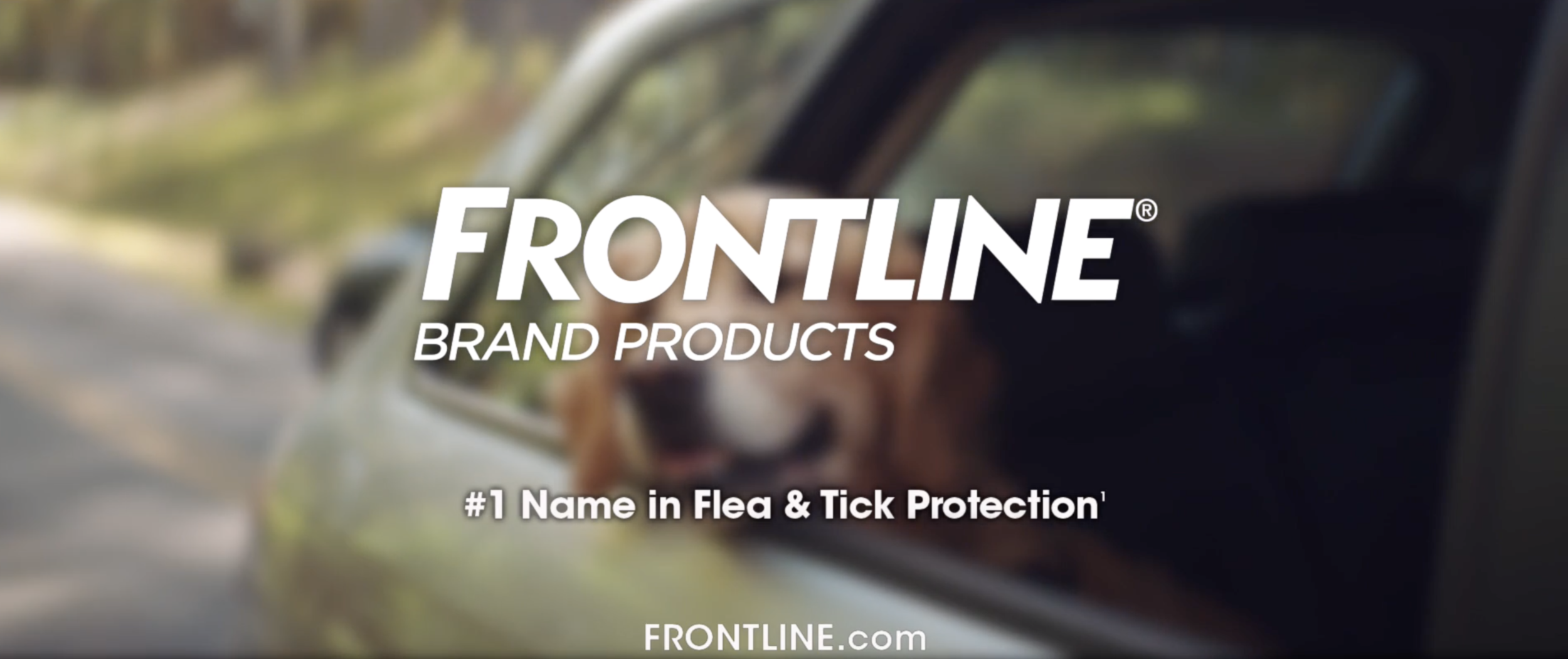 Frontline / Heartgard / Nexgard — matt silliman