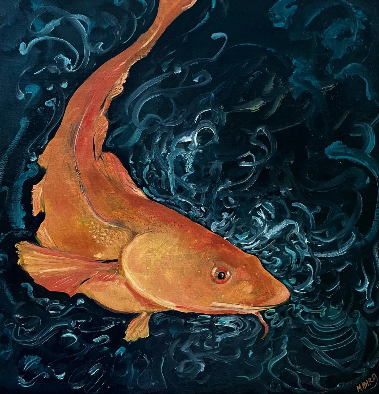 Carp 