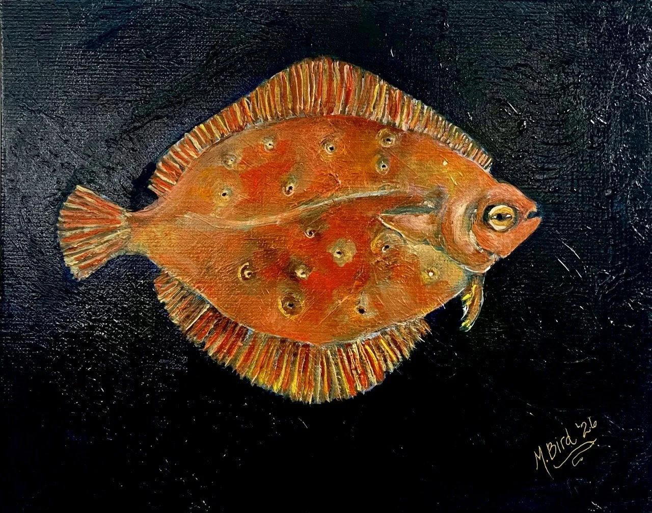Rauðspretta