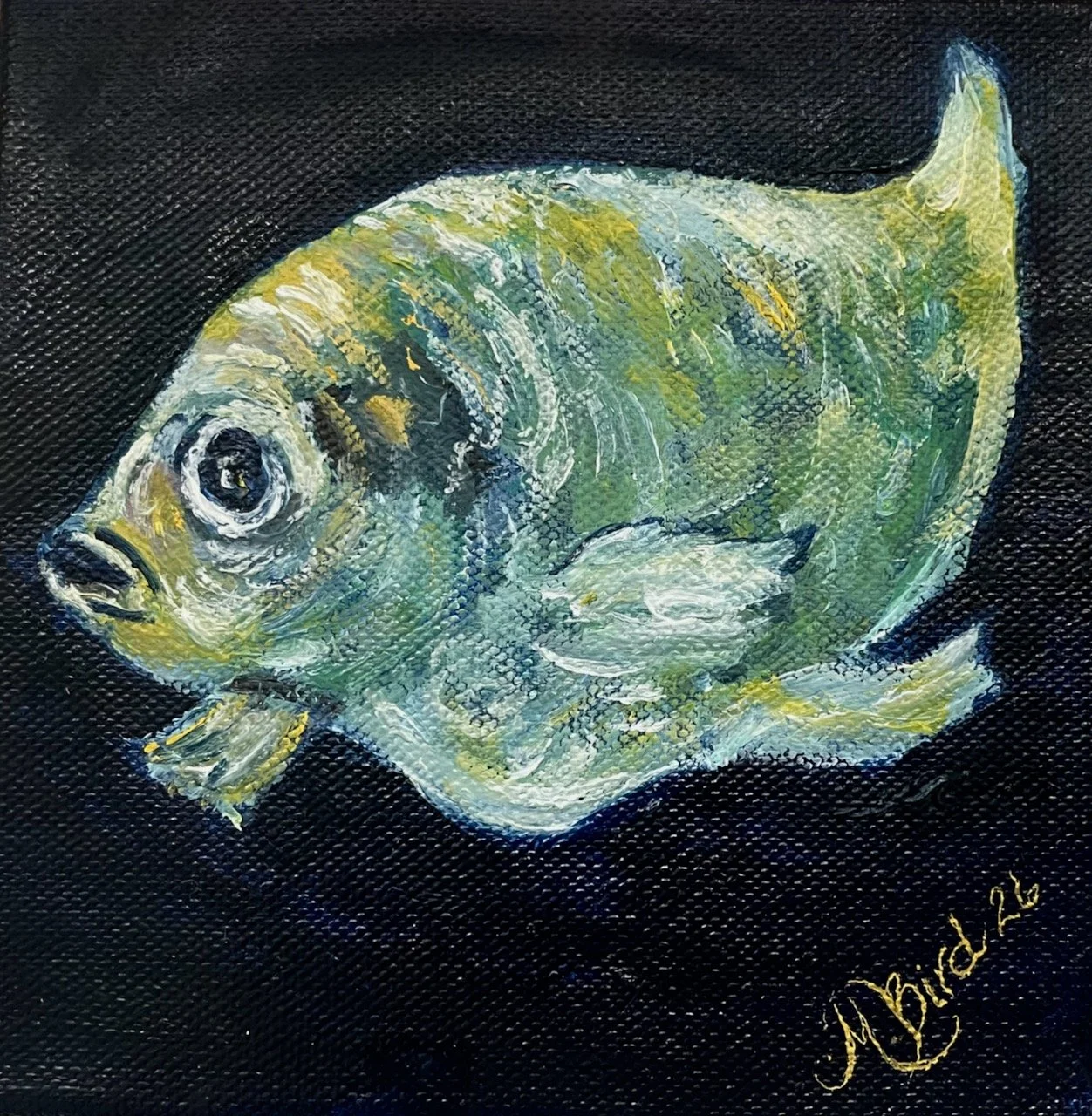 Herring