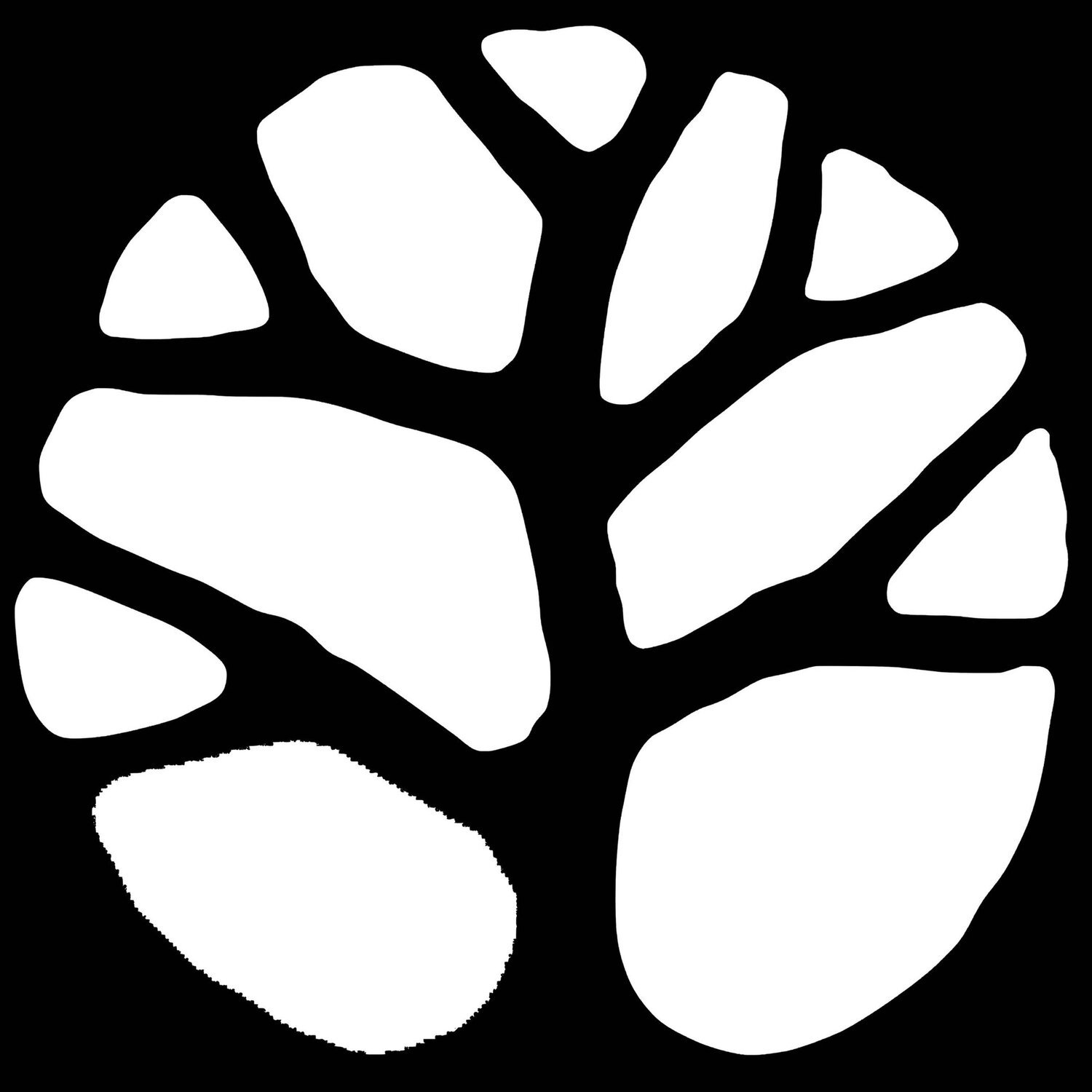 black+tree+logo.jpg