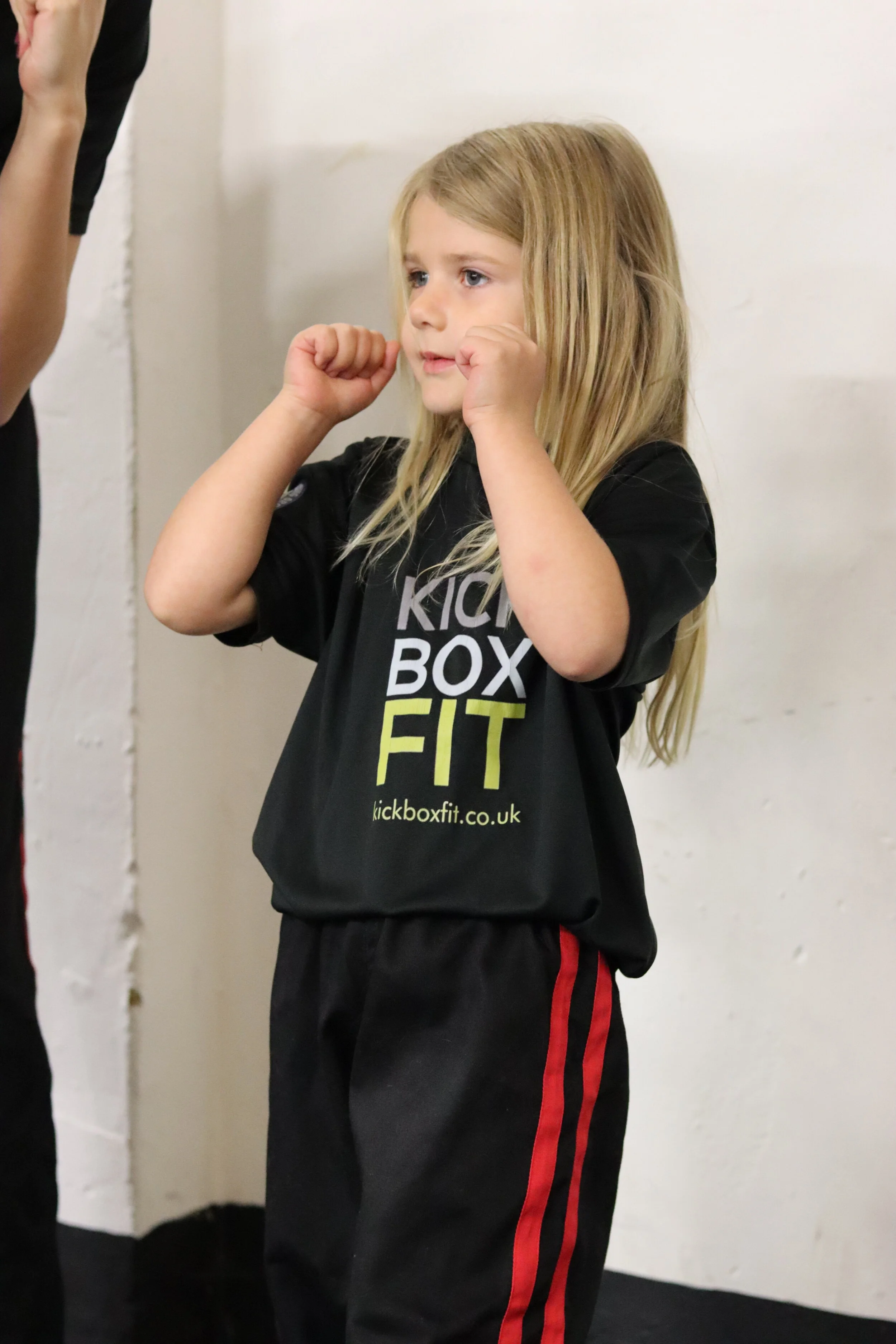 Kick box fit martial arts academy