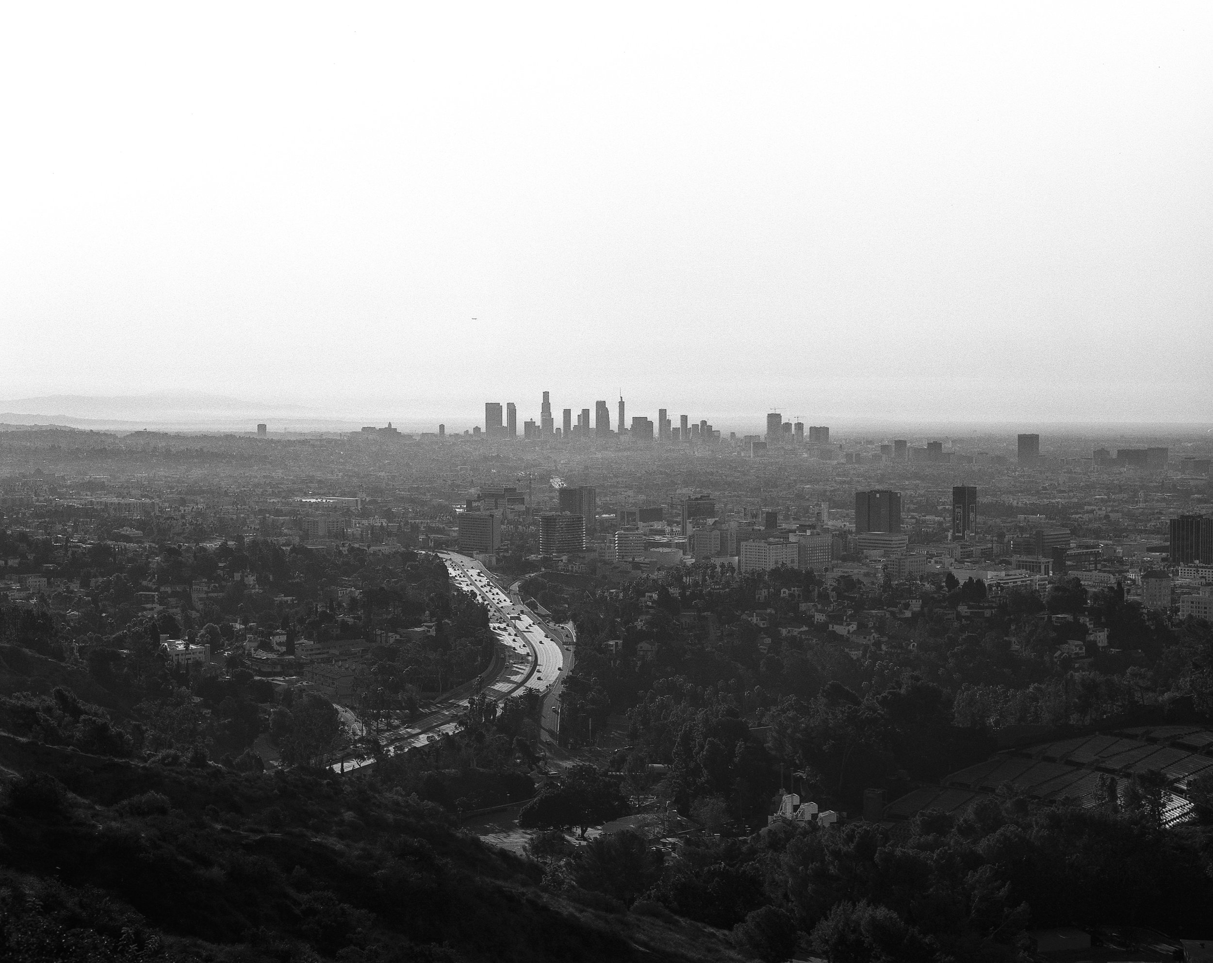 SUNDAY SKY LOS ANGELES-SQ.jpg