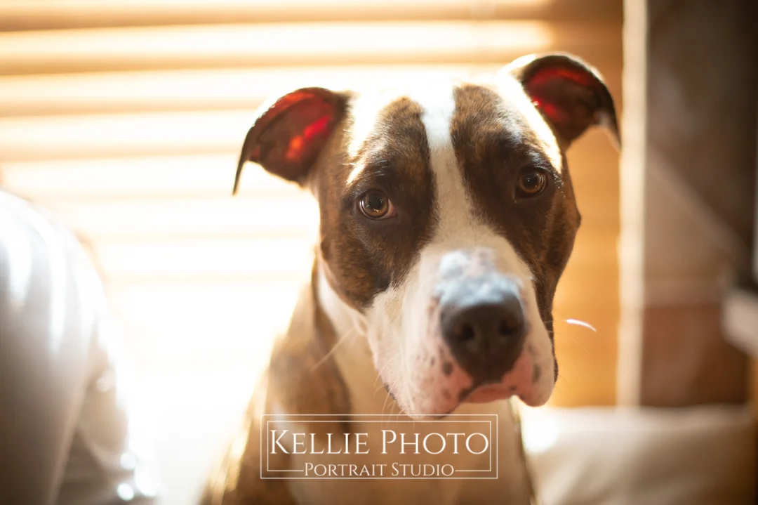 blog_051-Caiden.jpg