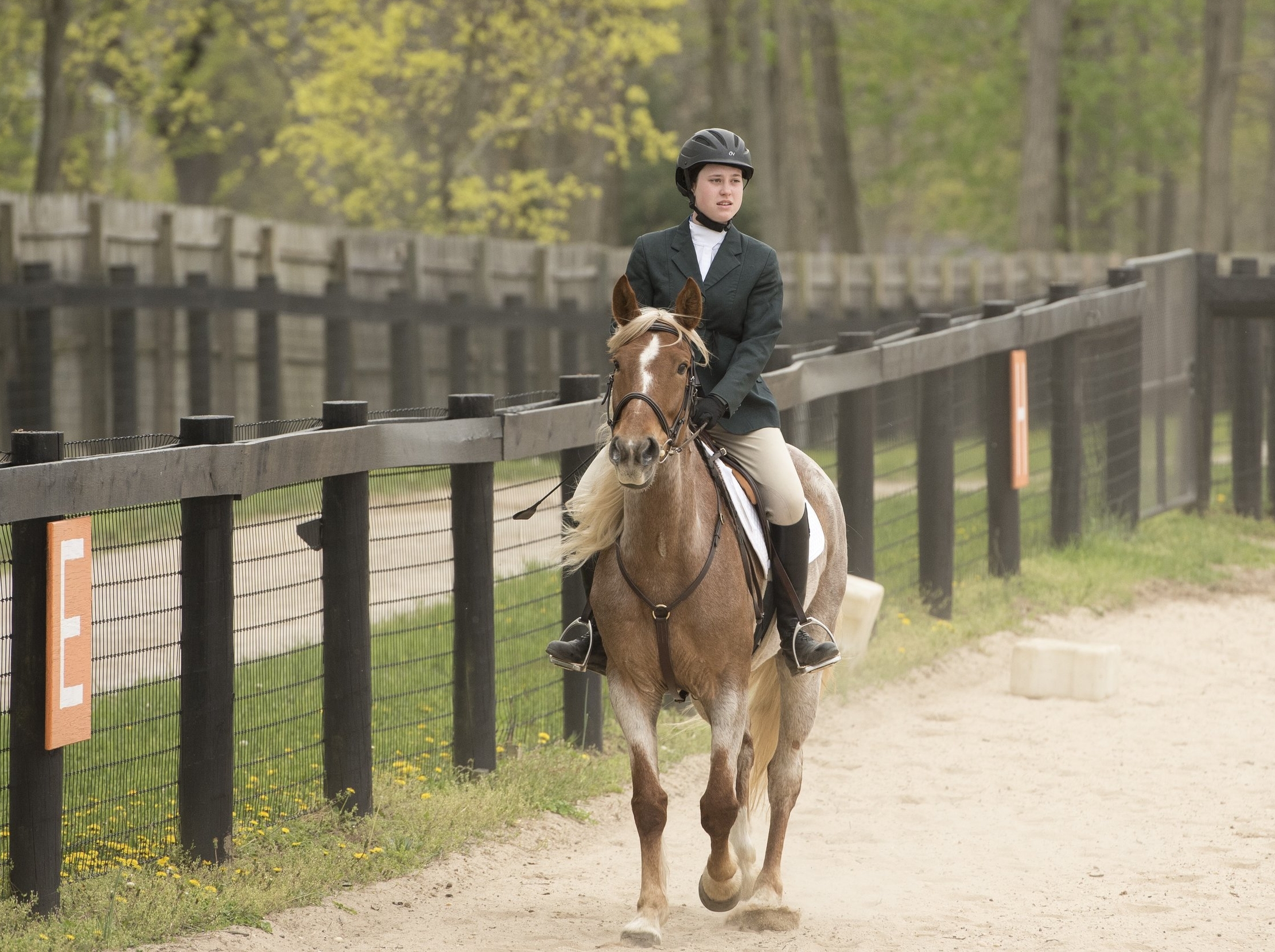 Claire trots Moonshine.jpg