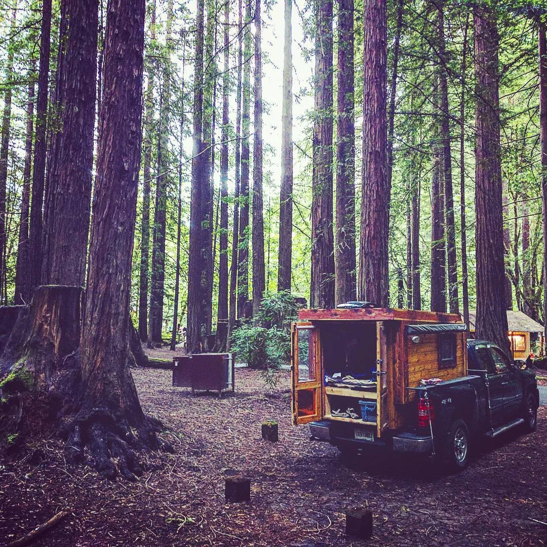 Carpenter Owl Excursion Structure - El Dorado Slider