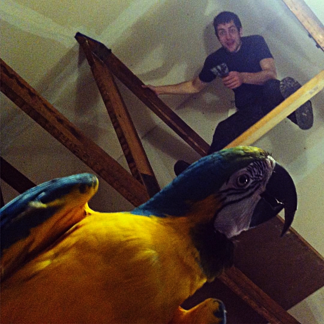 image1.jpeg