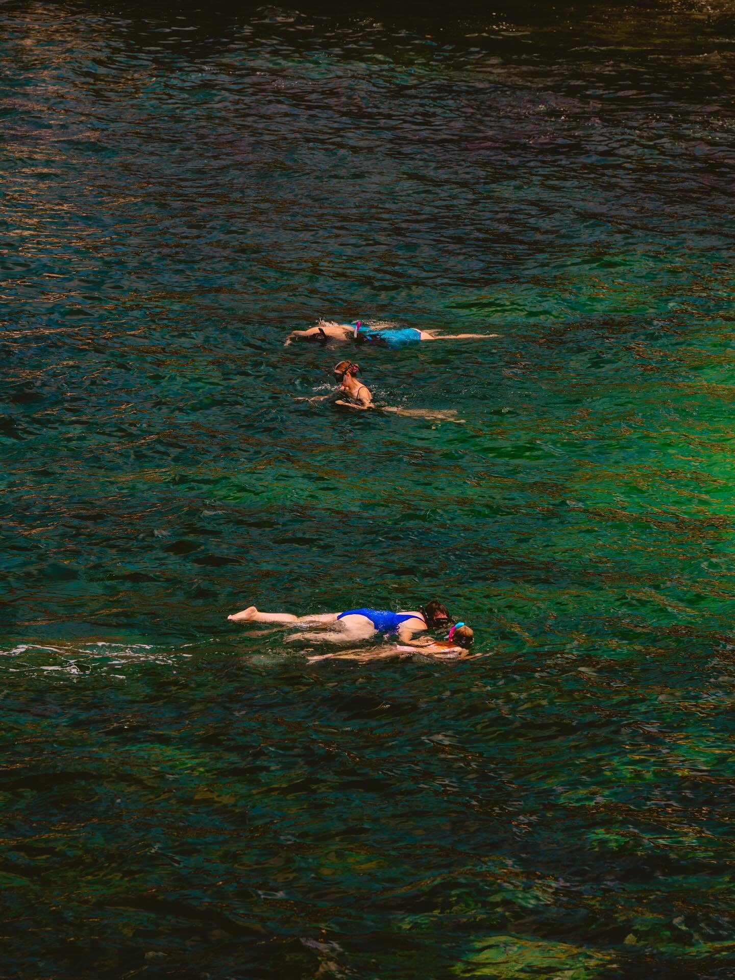 Meanwhile there&rsquo;s a 7ft sea lion about to chase them back to shore