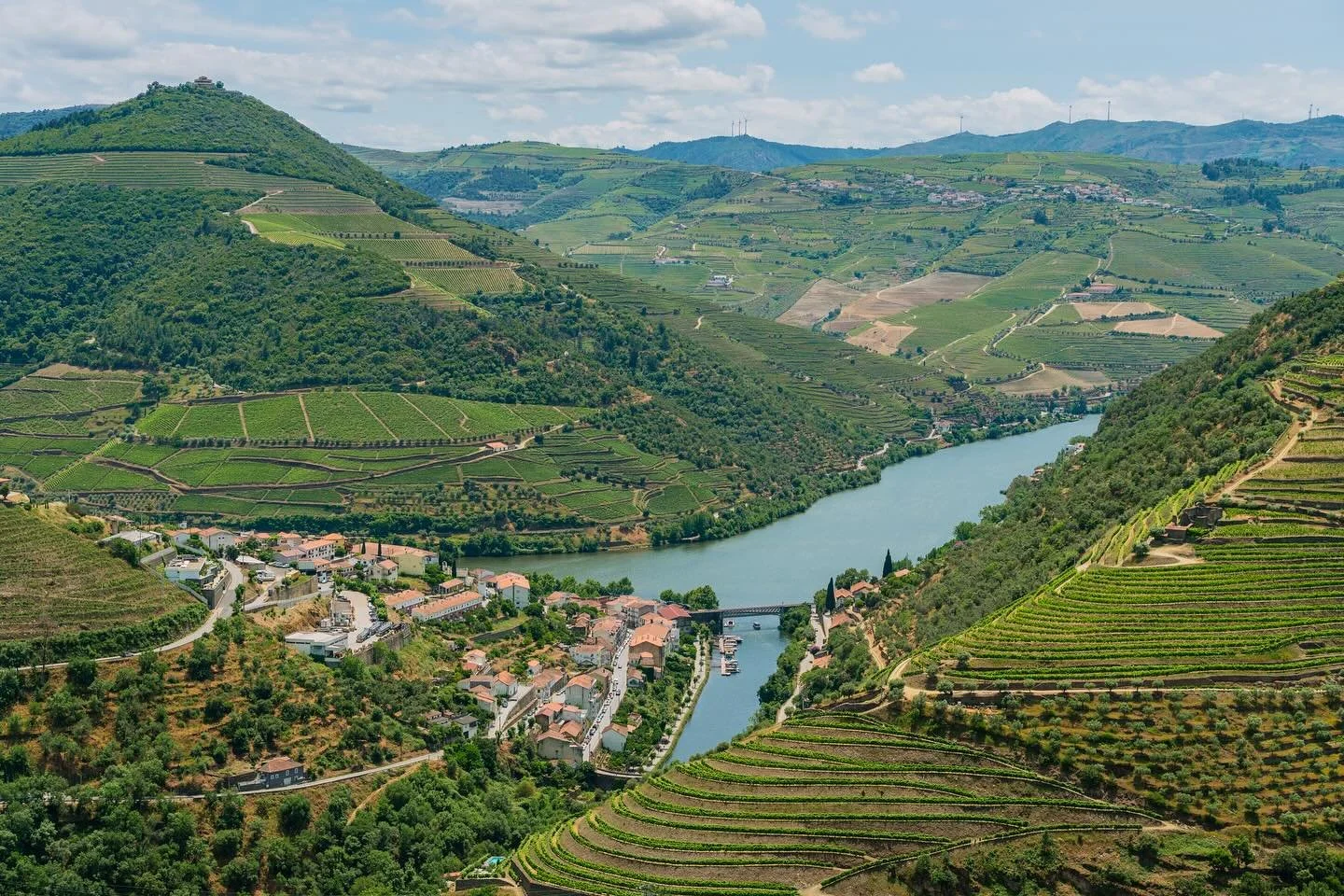 A scene from the Douro Valley