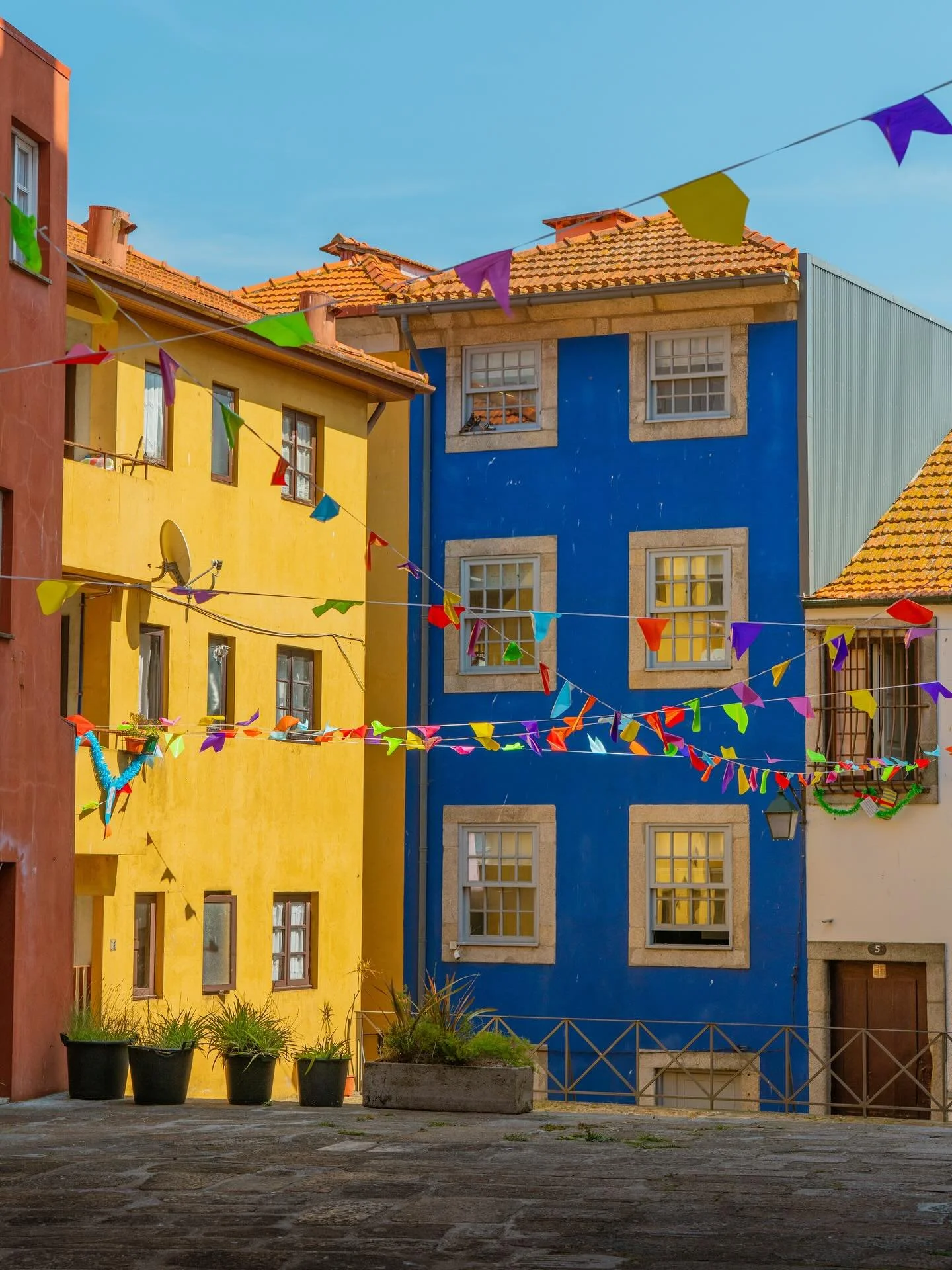 It&rsquo;s been a minute since I picked up a camera, but taking it to Portugal brought me back. So here&rsquo;s a celebratory photo 🎉