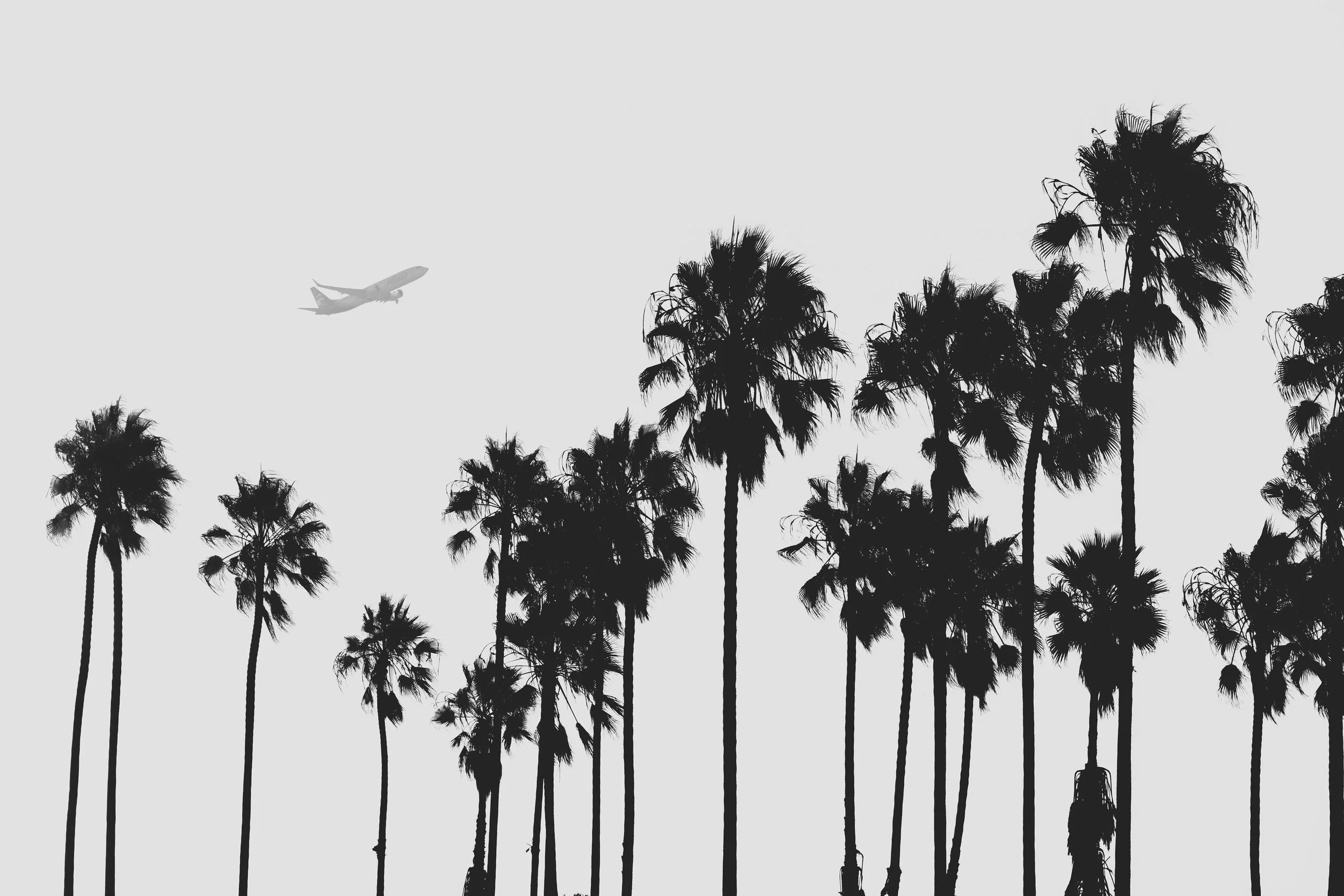 11.9.2924 LAX Takeoff - Edit-09186.JPG