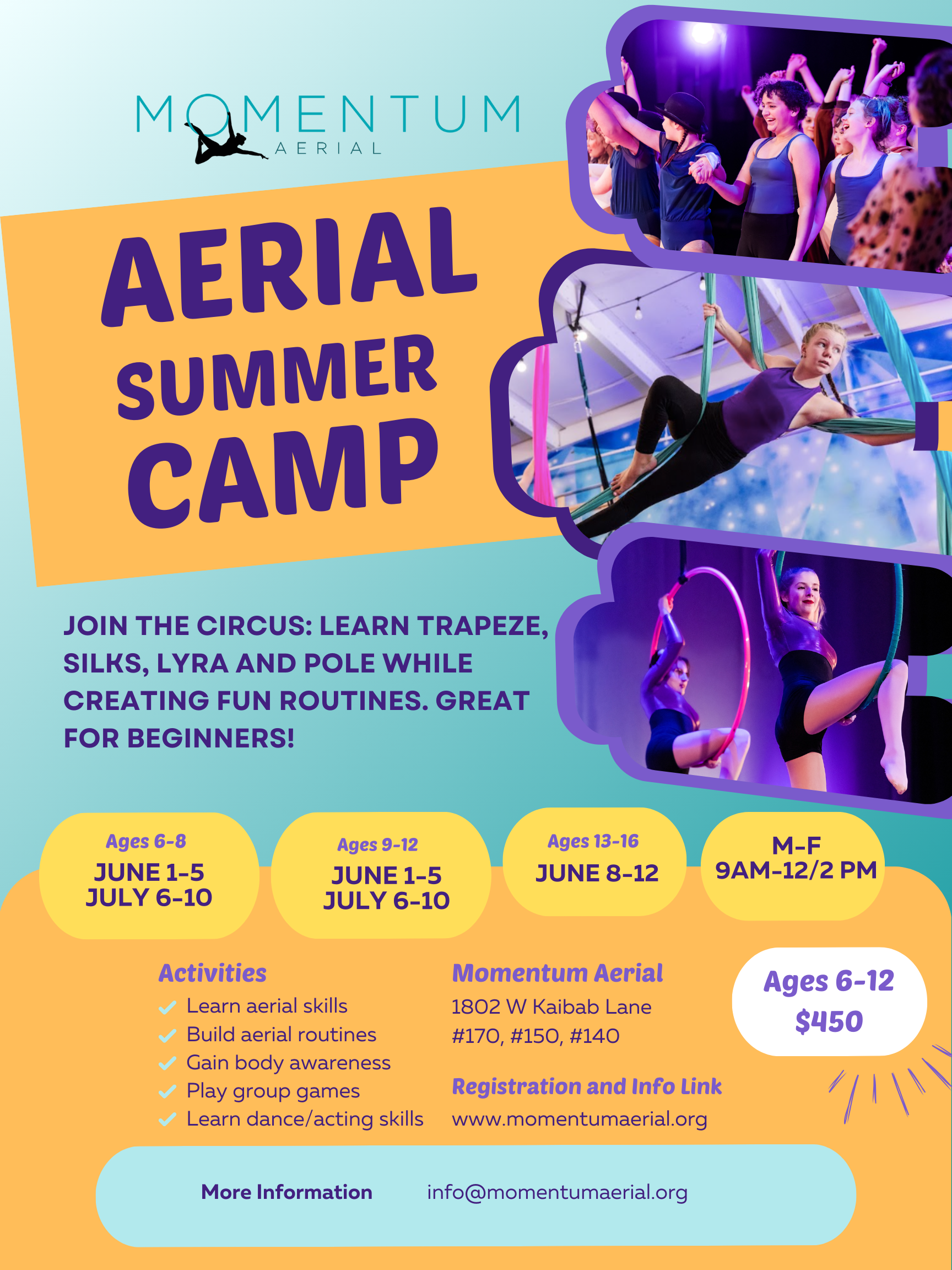 Aerial Summer Camps