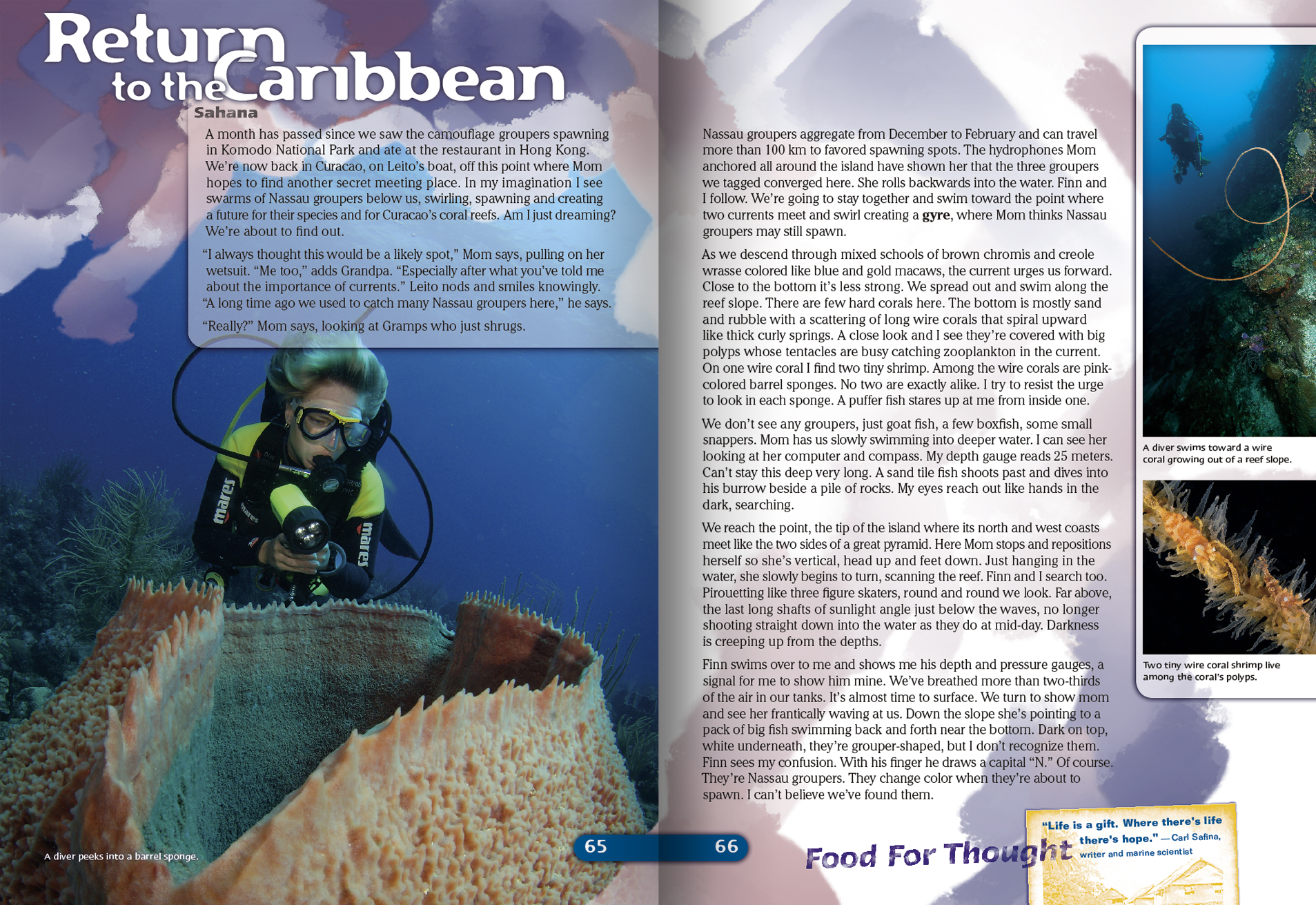 ReefsBook-ReturnToCaribb-65&66-GutterShadows.jpg