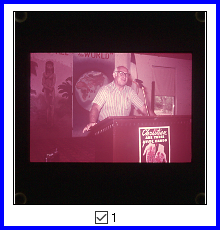 Scanner added black borders because light bleed confused it