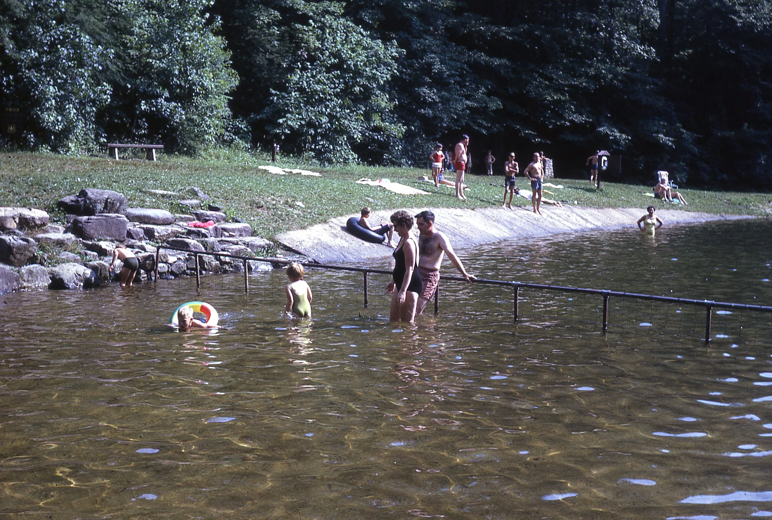 img500.jpg