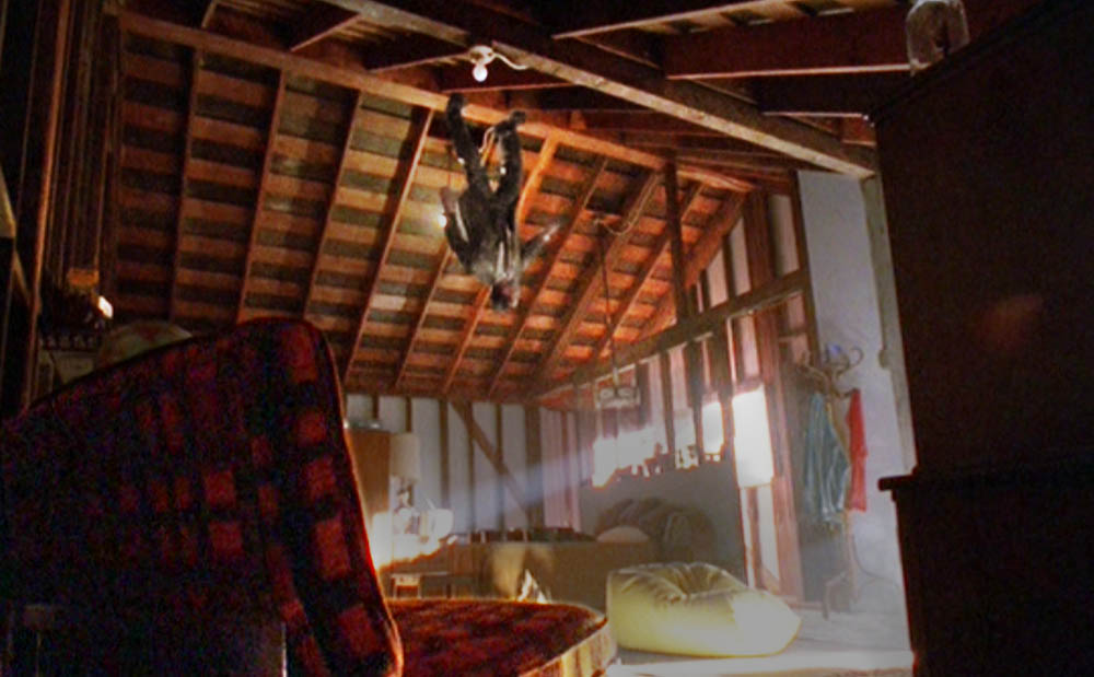 brady roof.jpg