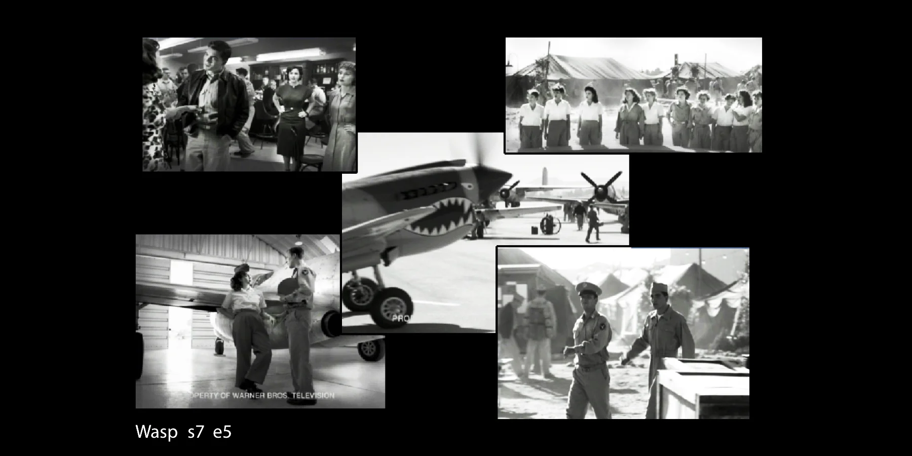 wasp copy.jpg