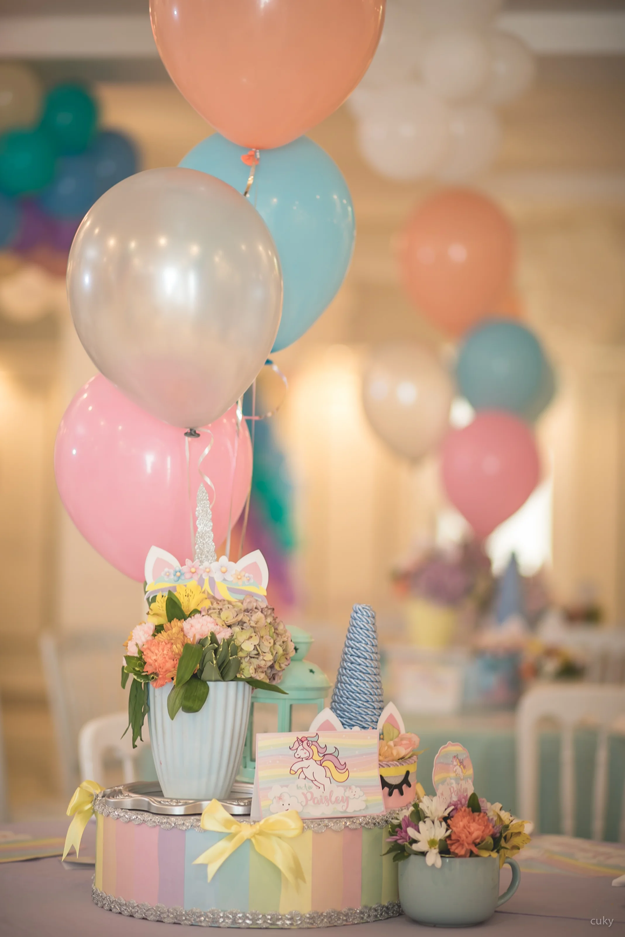 Cumpleaños Paisley (2).jpg