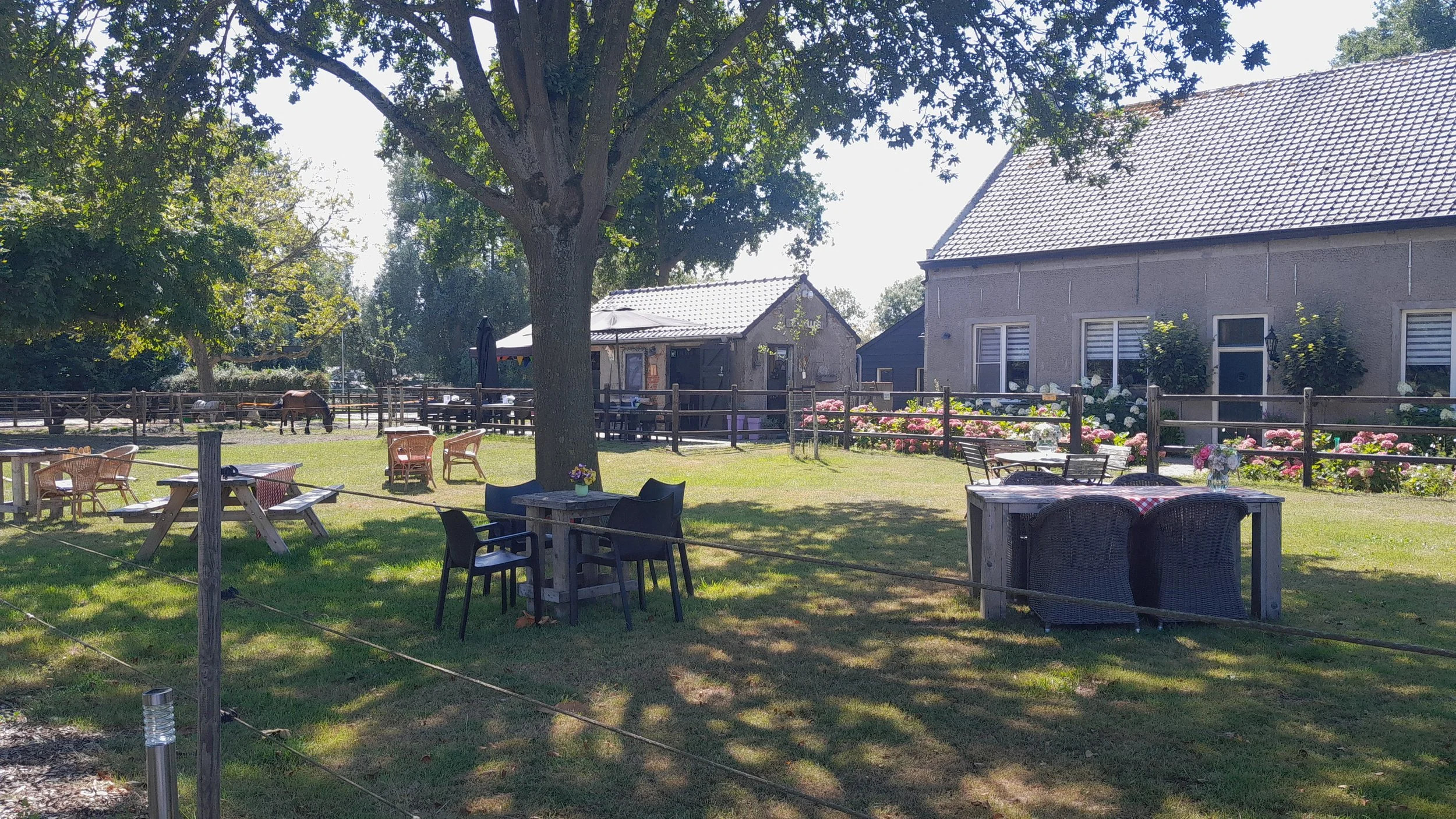 campererf theetuin 2.jpeg