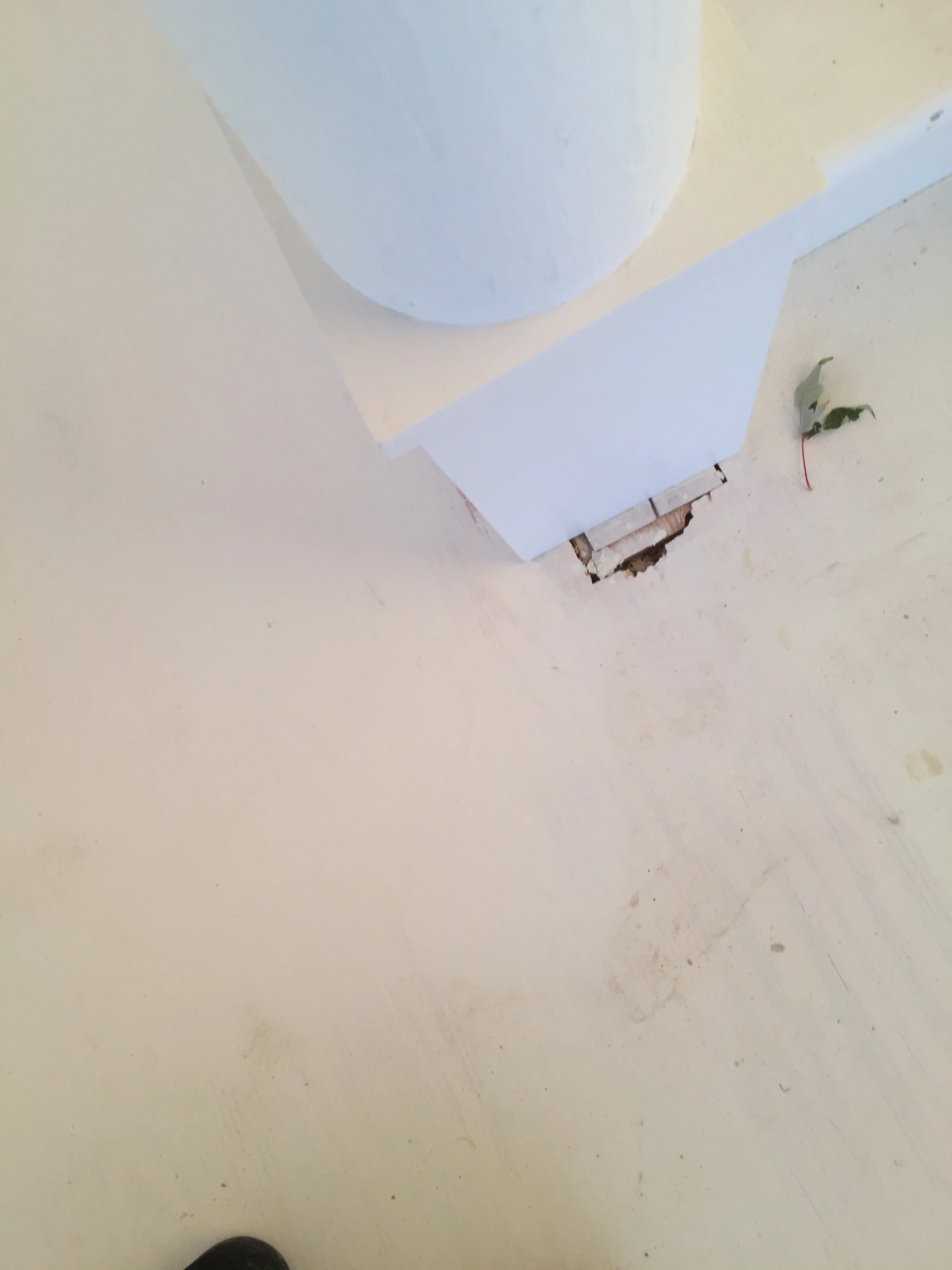 Unfinished floor on level 1