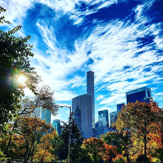 Crisp November morning in NYC, nothing as beautiful, especially from a Central Park vantage point. One of the many, many things I ❤️ about #Newyorkcity 📸@jaquiliv .
.
.
.
.
#newyork #nyc #autumn #fall #centralpark #sky #bluesky #clouds