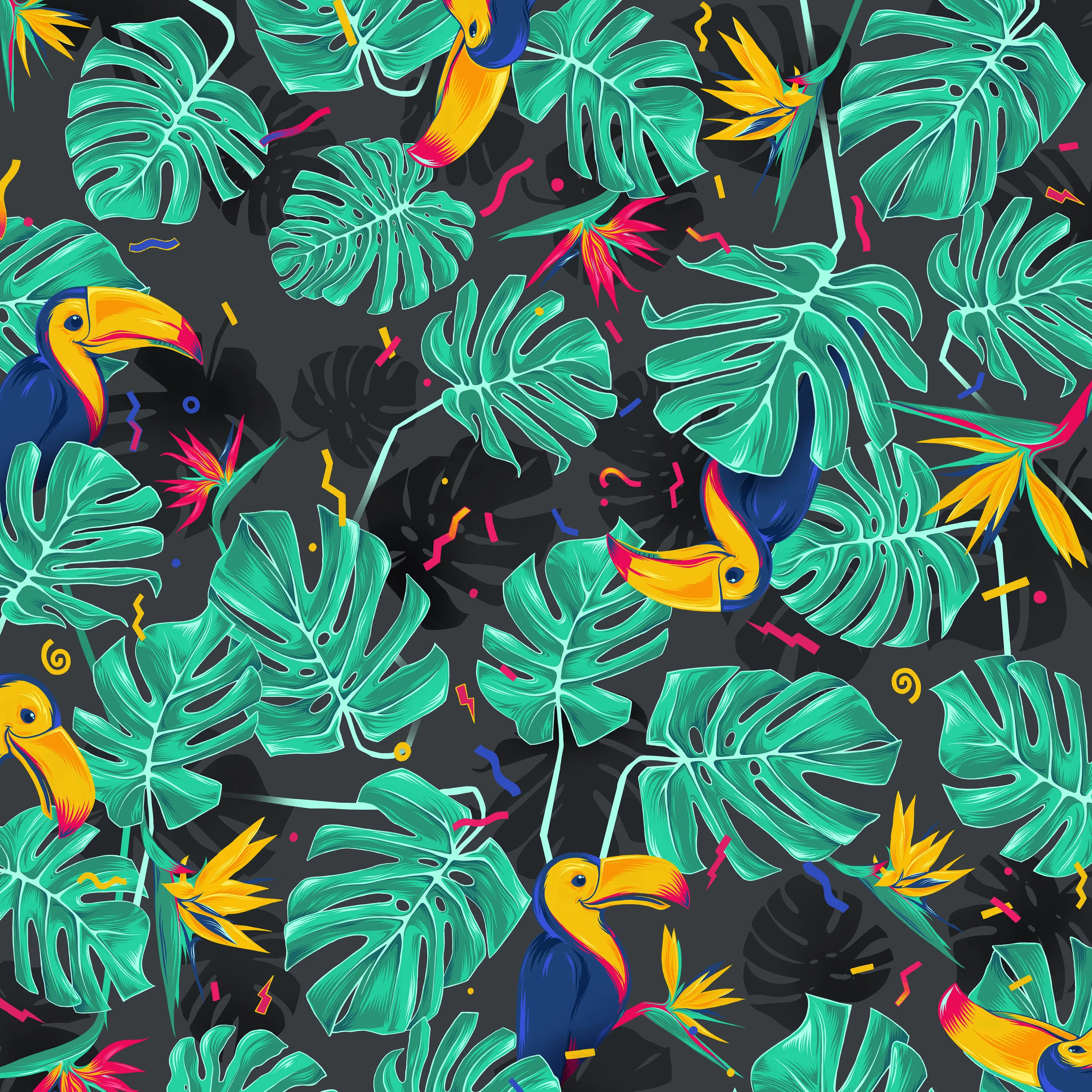toucaninsta02.jpg