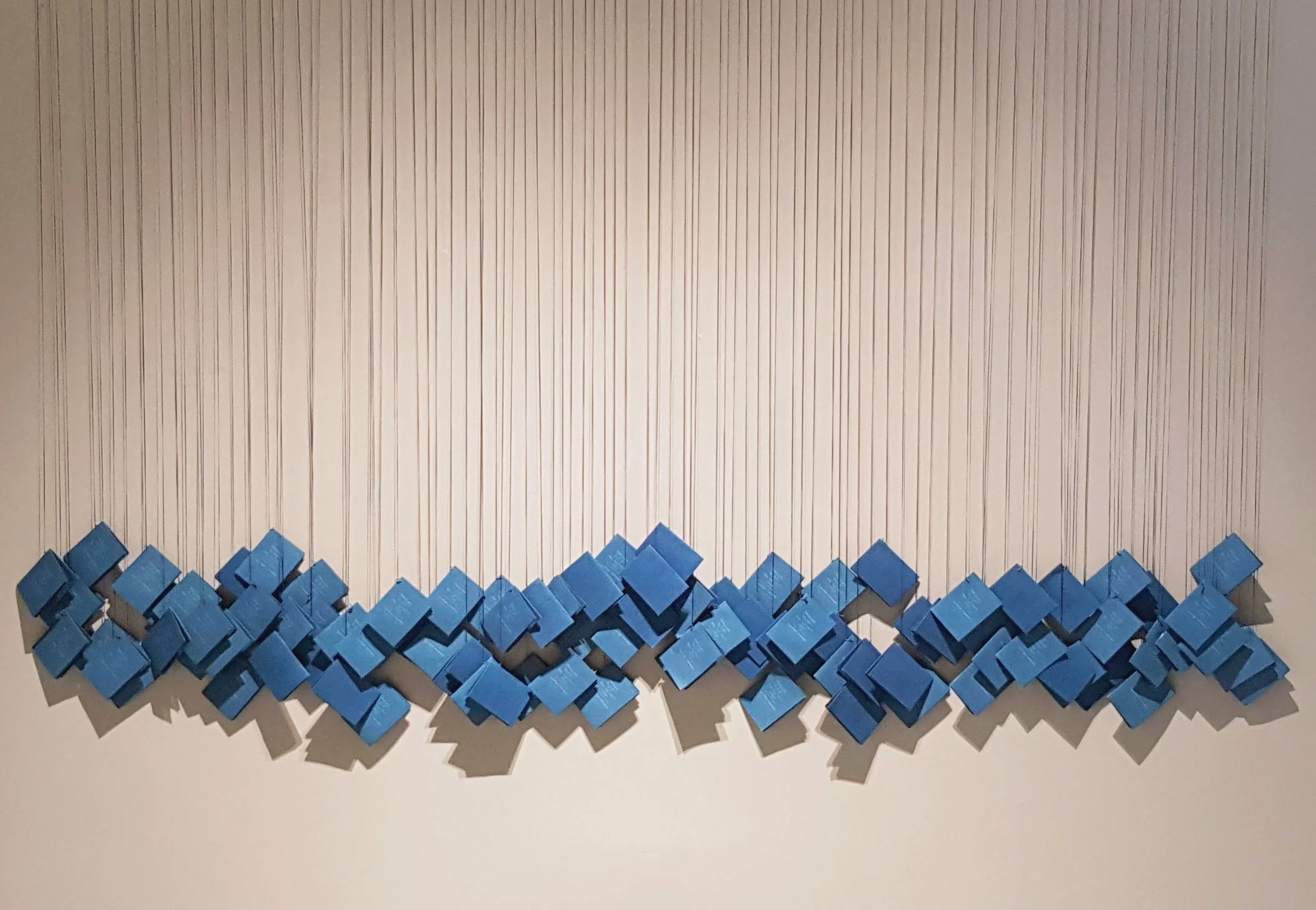 Photographs of Allen Eye Chart Images: Cyanotype Impressions, 2017