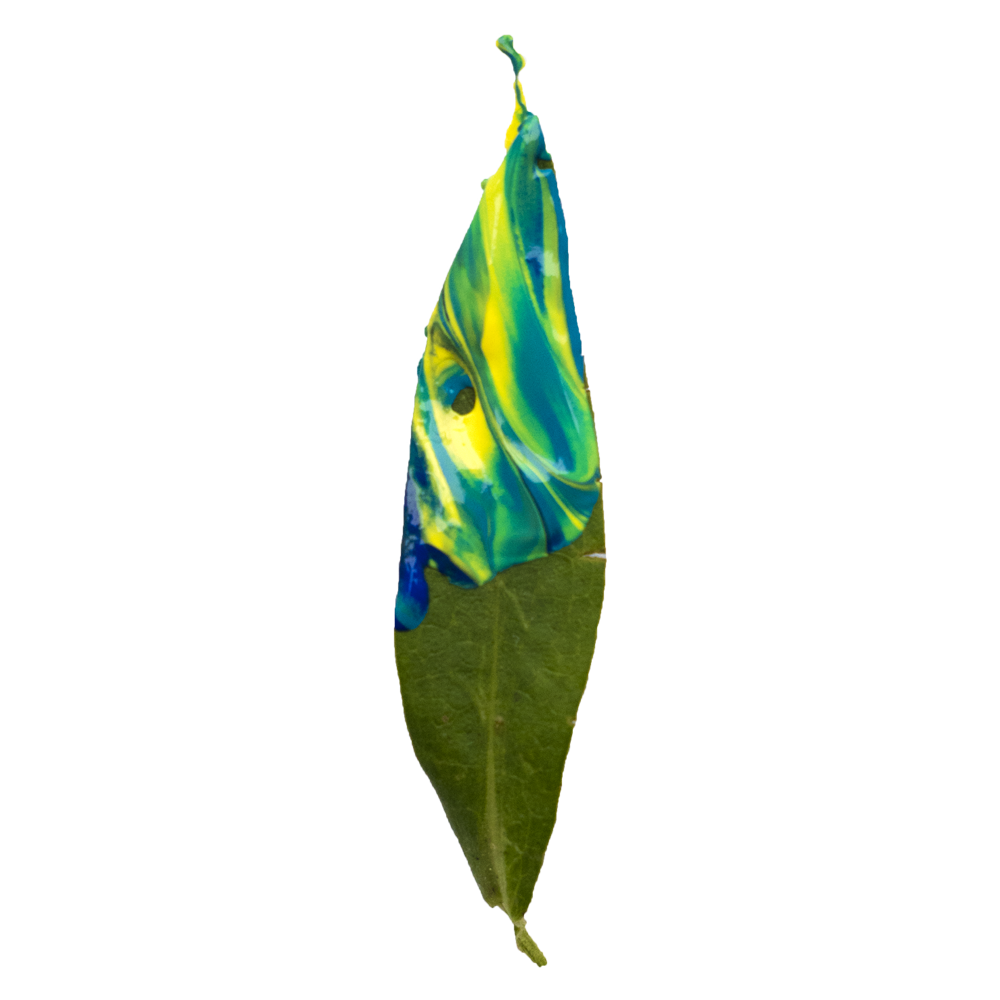 Pangea_NatureImmersion2.png