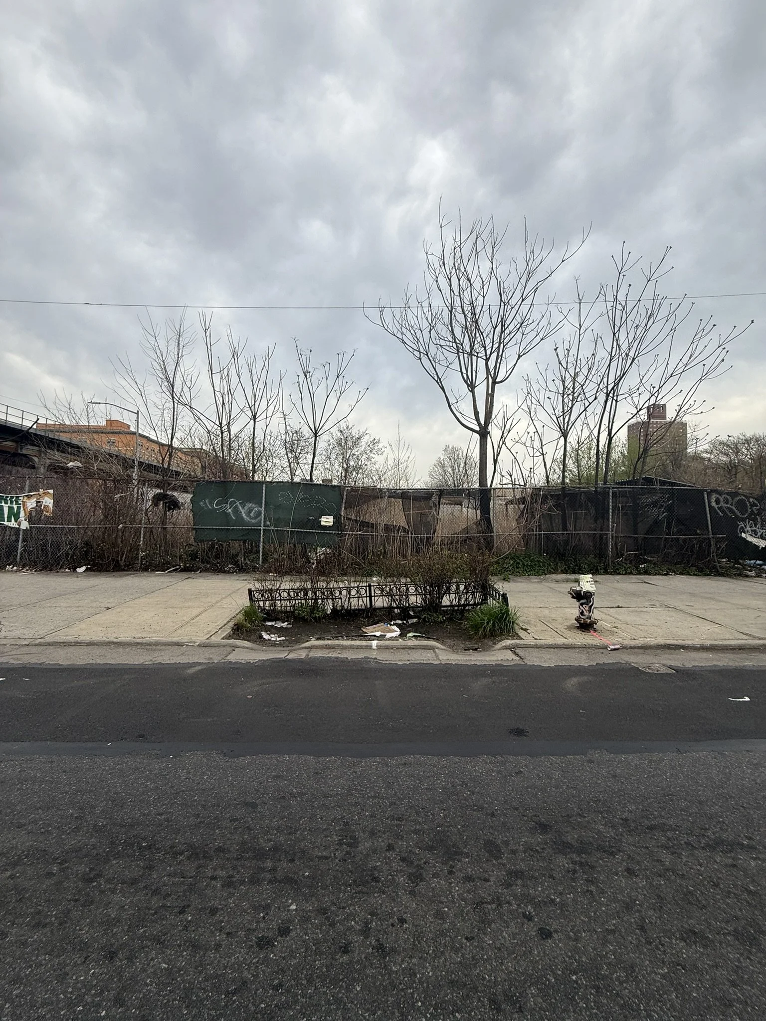 IMG_1282.JPEG