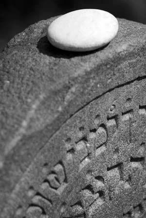 Stone_300_449_90.jpg