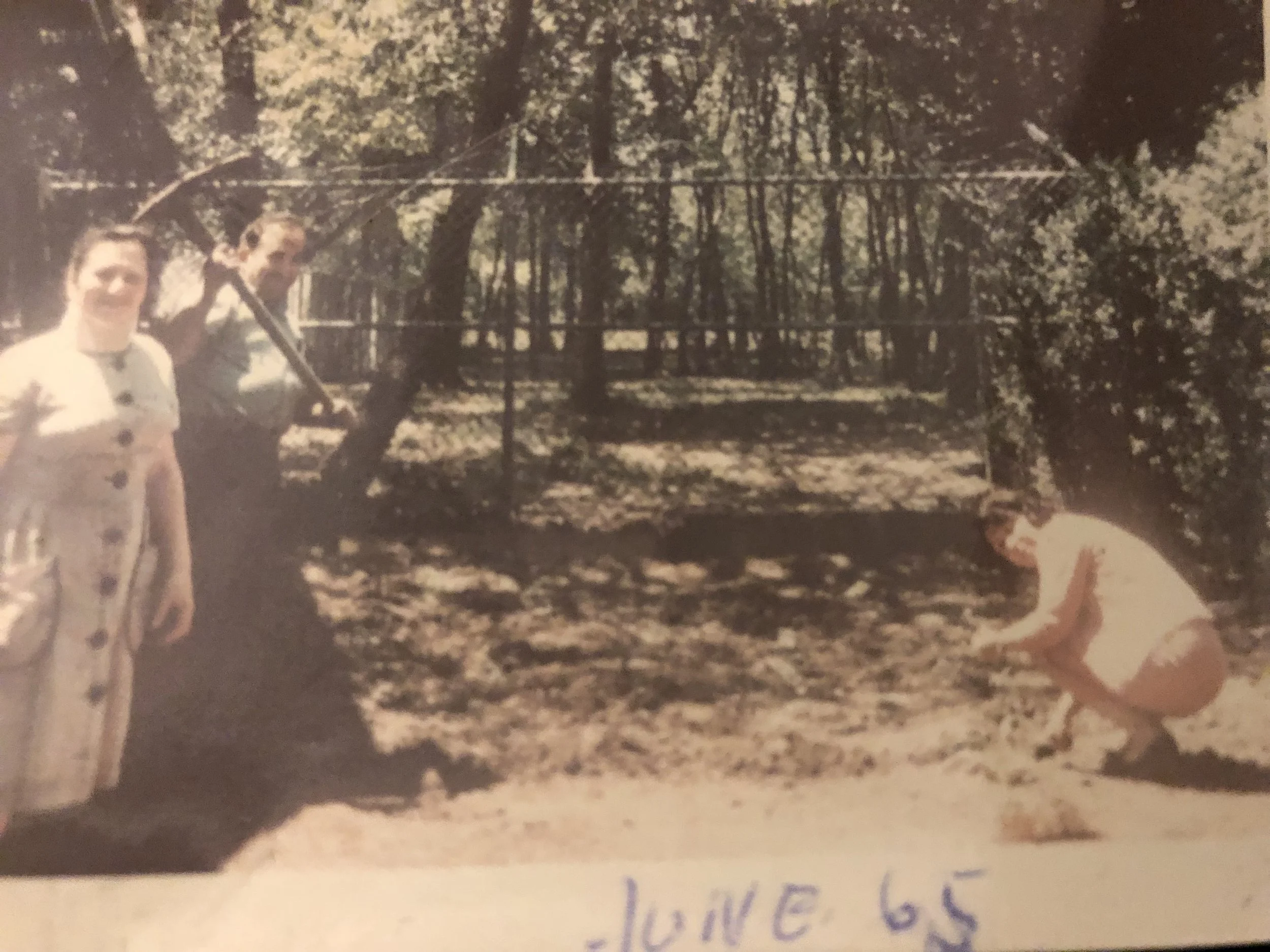 My parents on the left and Sarah Weber on the right gardening 846 Cross Avenue, Elizabeth, NJ June 1965