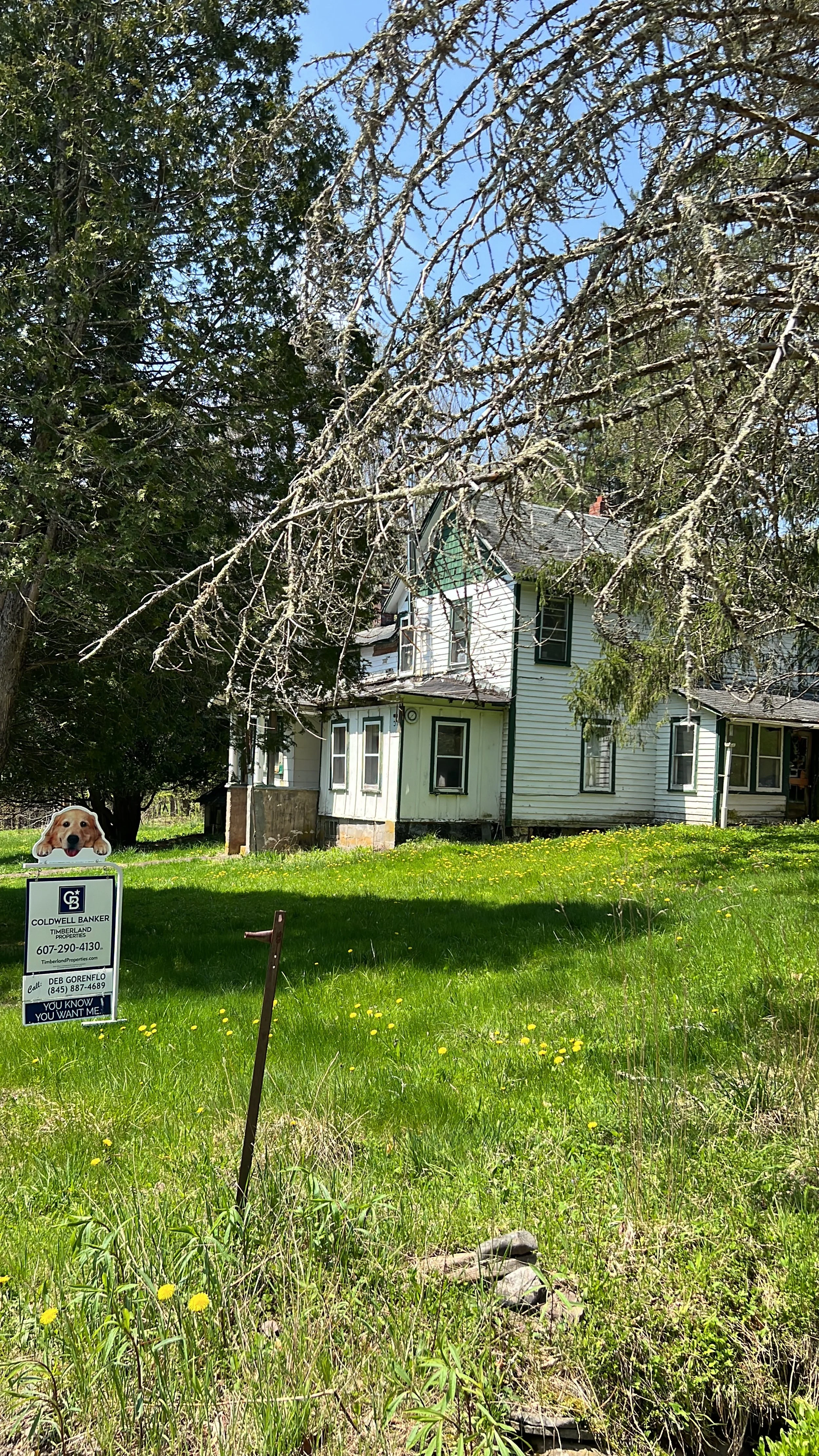 IF THOSE WALLS COULD TALK...MAYBE I CAN TALK A BIT FOR THEM