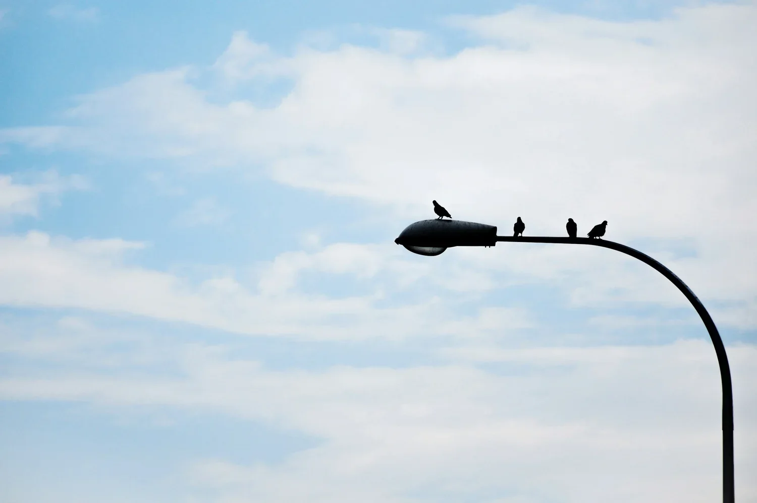 LIGHTS ON! SEE YA' TOMORROW!