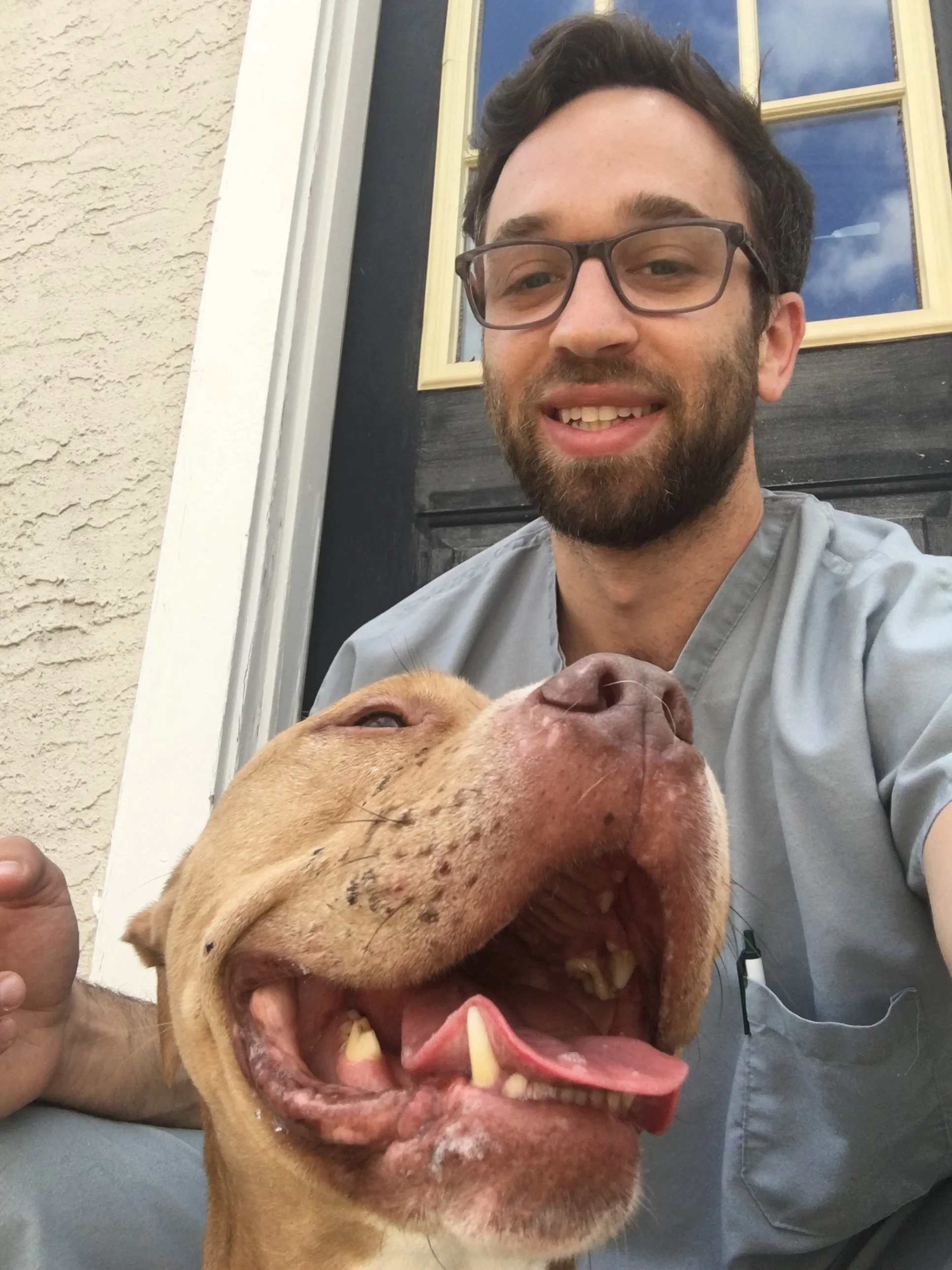 Home Dental Care for Cats and Dogs