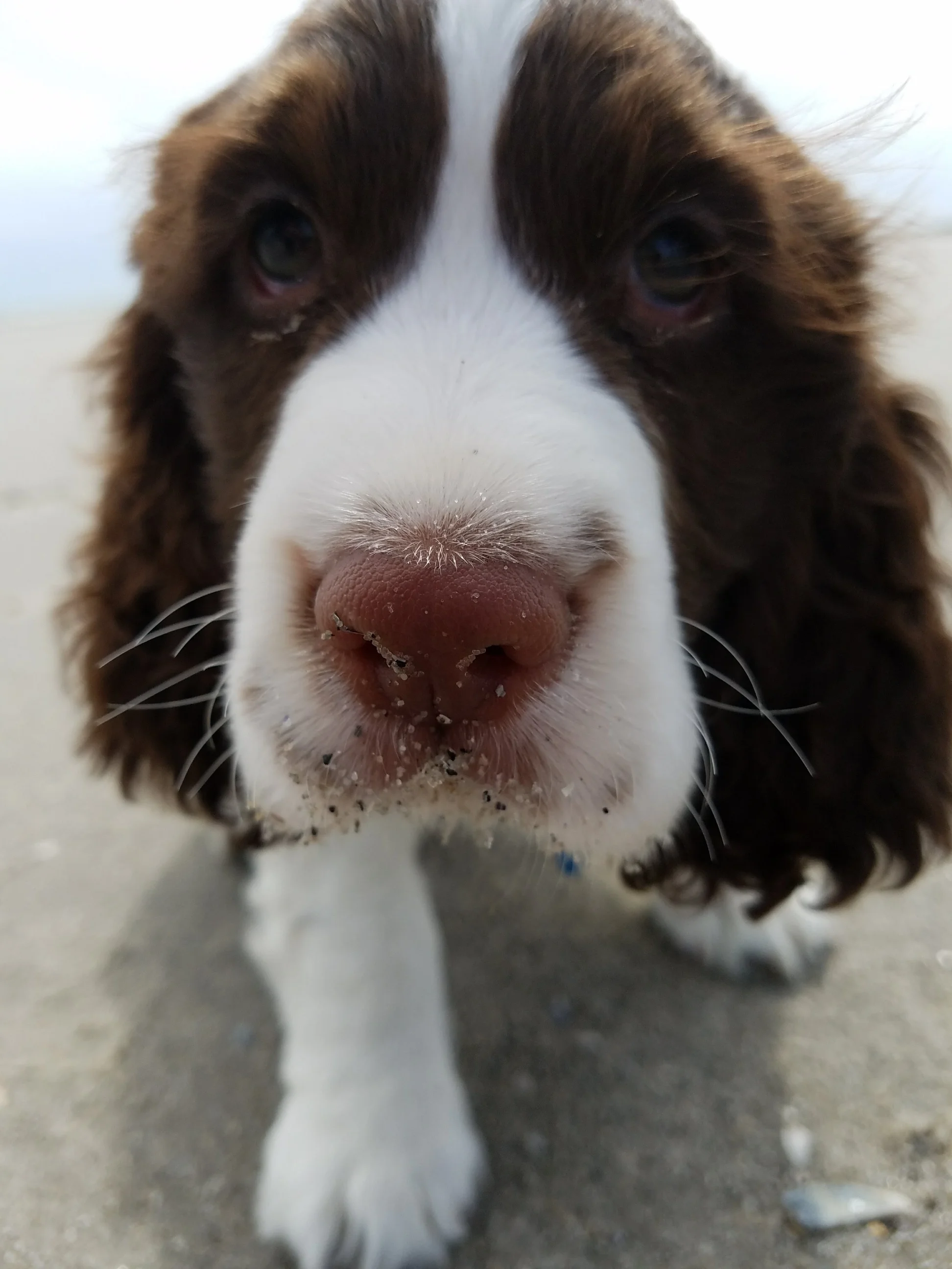 Genetic Predispositions Are More Than Personality