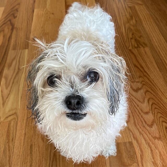 &ldquo;Seriously, why must you bathe me?&rdquo; - Rosie