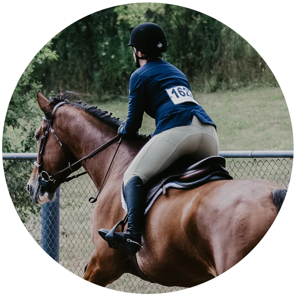 Profile- Danny and Ashley Pure Horse Sense.jpg