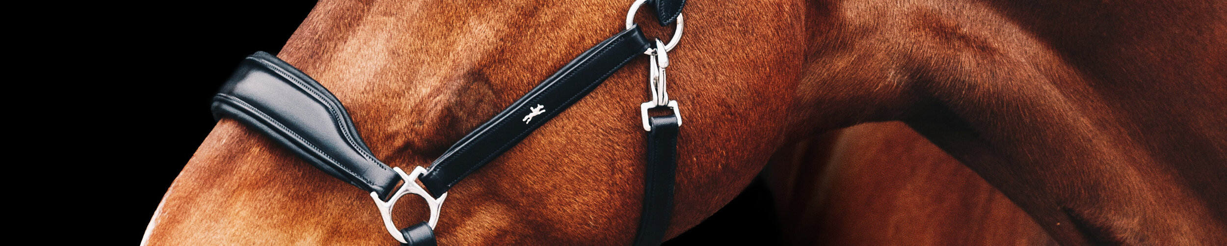 Equestrian Gift Guide