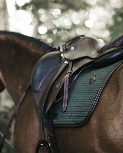 Brand Spotlight: Kentucky Horsewear