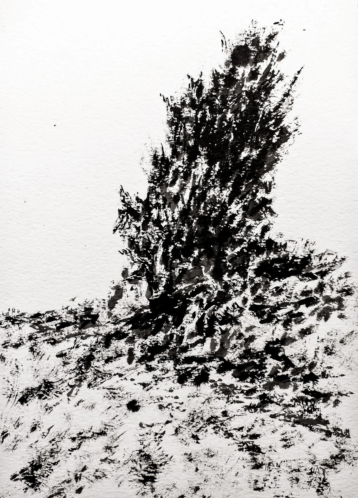 The almond tree Ink on paper 35x27cm 2017