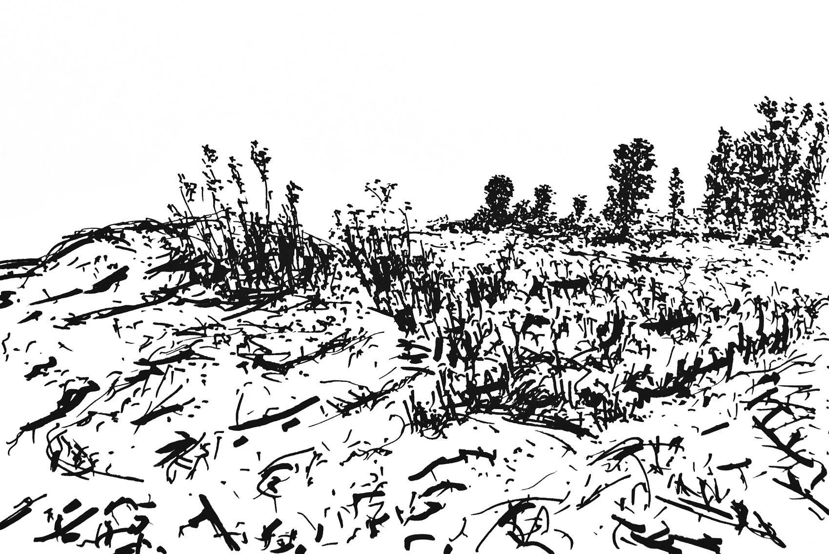 Landmark Ink markers on paper 35x50cm 2014