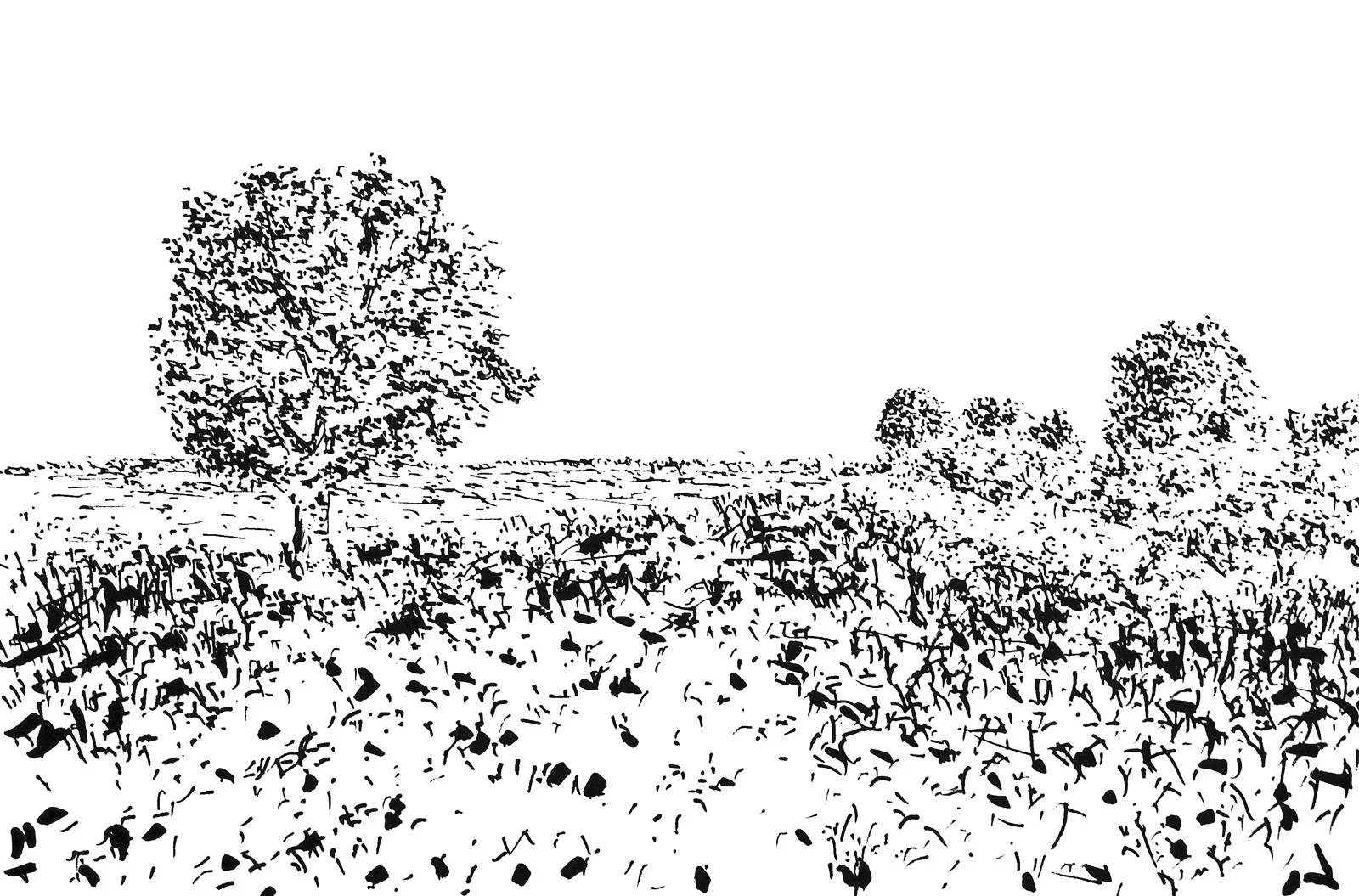 Landmark Ink markers on paper 35x50cm 2014