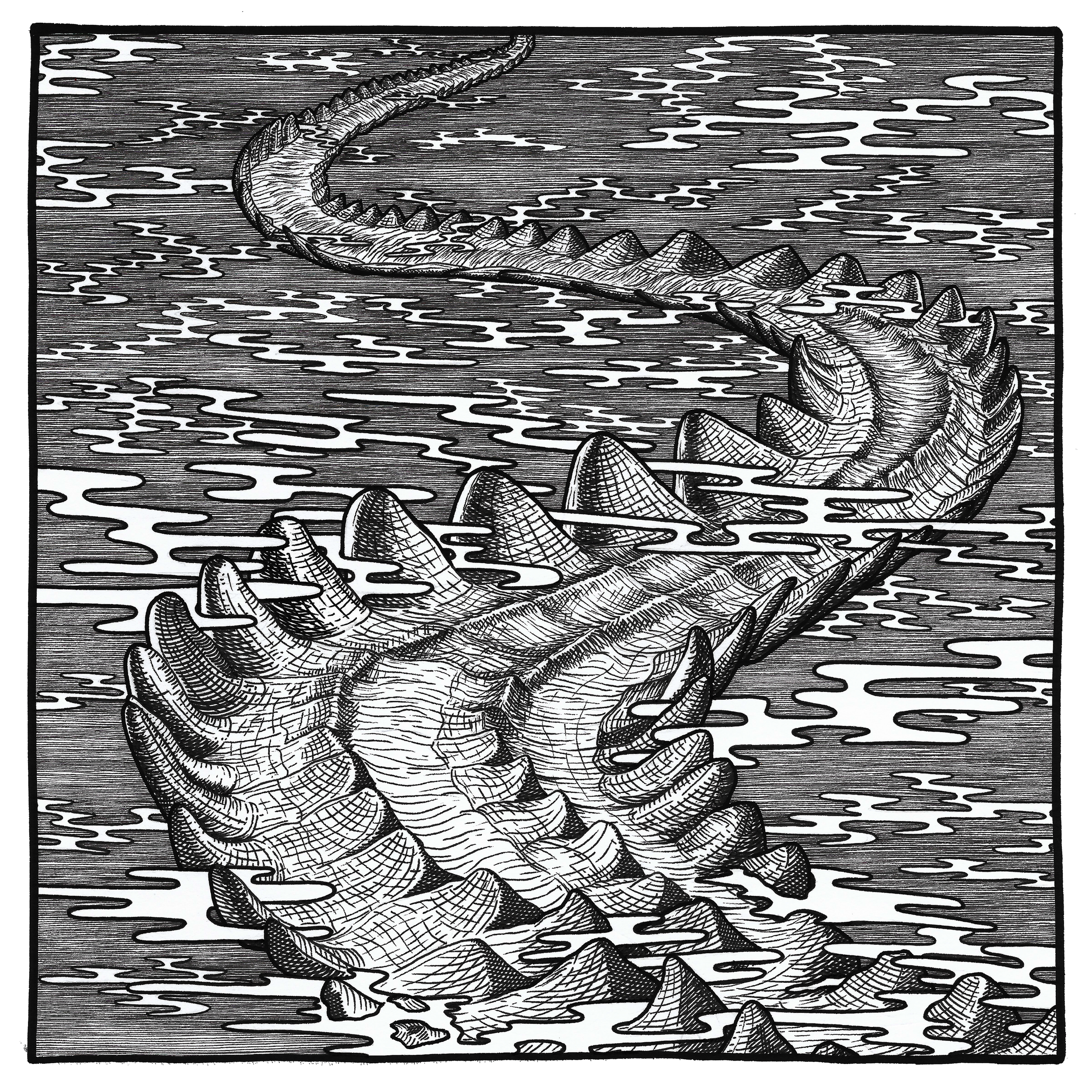 3.Pathcopy. png.png