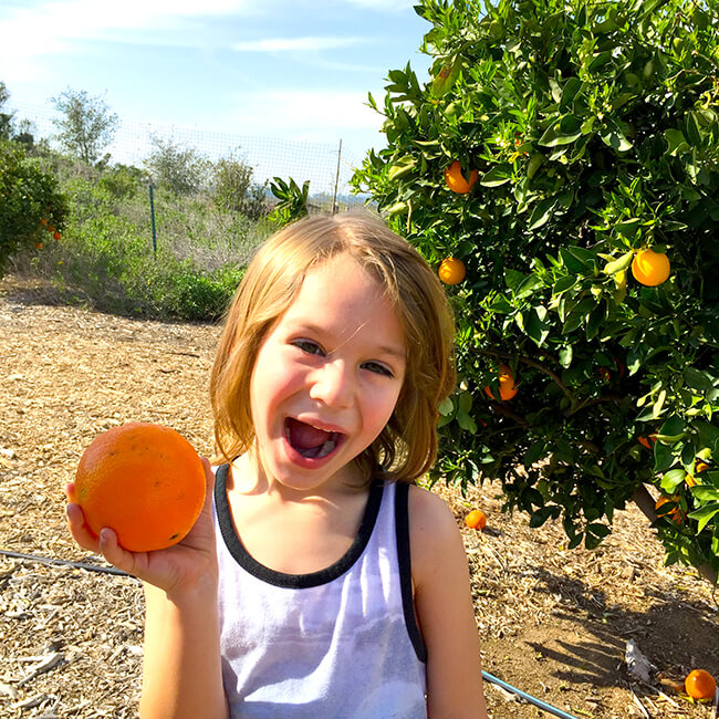 Vann-Parkin-in-an-Orange-Grove.jpg