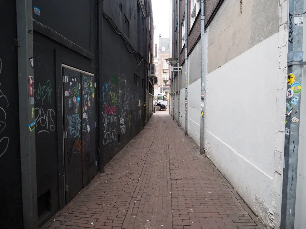 P1231265.JPG