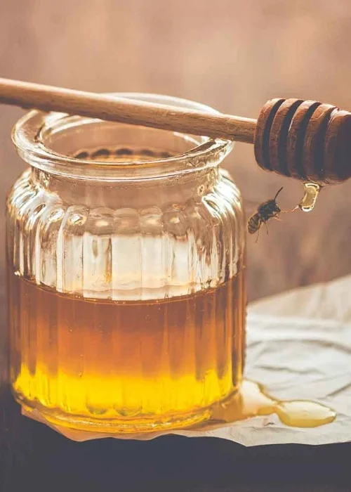 Honey-in-Jar-and-Bees_web_1500x1000.jpg