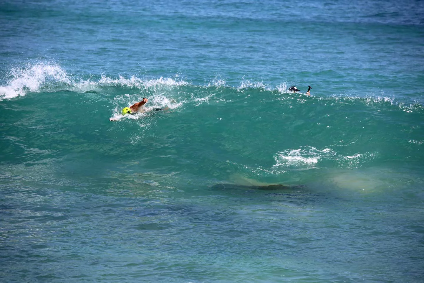 swimmer-in-water-through-wave.jpg