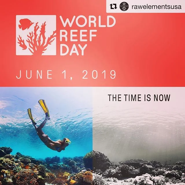 ✨Today is #WorldReefDay 🌍🐠Our coral reefs are in danger. In recent years, there has been a major decline of the world’s reef (40% in Hawaii and the Great Barrier Reef, 85% in the Caribbean and 99% in the Florida Keys)😱Much of the destruction up until now has been done by humans, and we can fix it. Today, June 1, is the first official #WorldReefDay Let’s come together and take action💪🏼Three simple things you can do to make a difference are👉🏼 1️⃣Use #reefsafe sunscreen
2️⃣Reduce single use plastics
3️⃣Share this post and spread awareness of this issue
We can make simple choices today to save our reefs for tomorrow!
#Repost @rawelementsusa
#wearsunscreen #savethereef #saveouroceans #savetheearth #reefsafesunscreen #reefsafesuncare #kokuasuncare #nonnanozincoxide