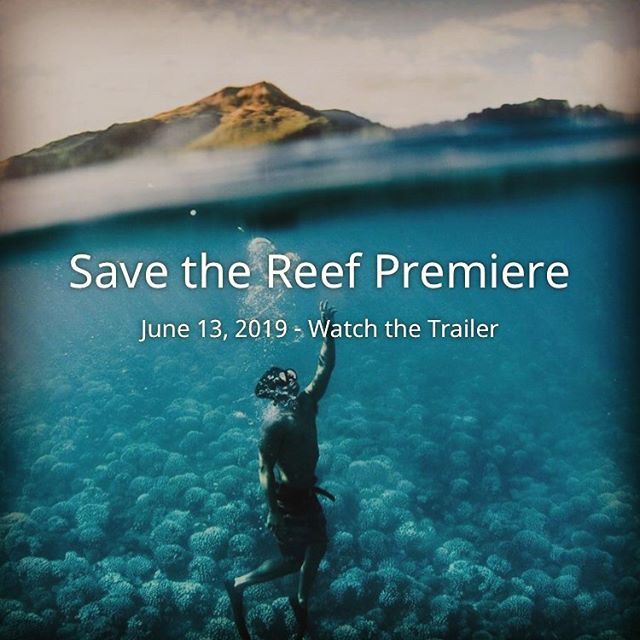 Check out the exclusive launch party and World Premiere of SAVE THE REEF, a documentary film by Karmagawa @karmagawa and directed by Amir Zakeri @amirzakeri at Kualoa Ranch @kualoaranch — 6pm this Thursday, June 13. Tickets are complimentary, but rsvp’s are required. Kōkua Sun Care will be there to show support and help educate about reef safe sunscreen.
For more info, go to SaveTheReef.org or @savethereef — an environmental initiative created by the charity community Karmagawa. 🐟🐟🐟🐟🐟🐟🐟🐟🐟🐟🐟🐟 #karmagawa
#savethereef
#worldpremiere
#kualoaranch
#reefsafe
#reefsafesunscreen
#kokuasuncare
#zincsunscreen